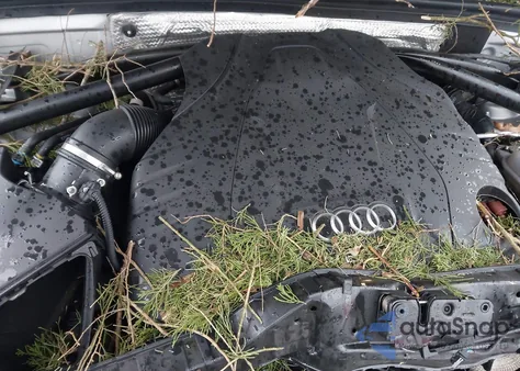 2014 Audi Q5 3.0 Tdi Premium Plus z USA, uszkodzony, nr VIN WA1DMAFP9EA093337